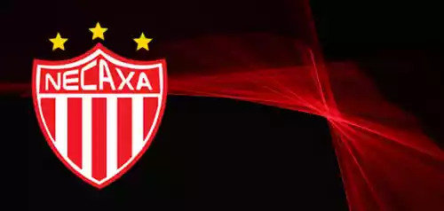 vectores plantilas FUTBOL,